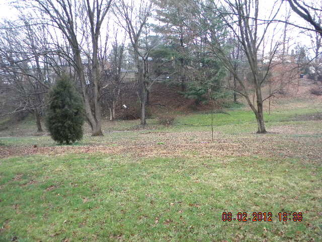 5331 Twilight Road Roanoke, VA 24019 - Photo 14 of 14 a backyard of a house with lots of green space