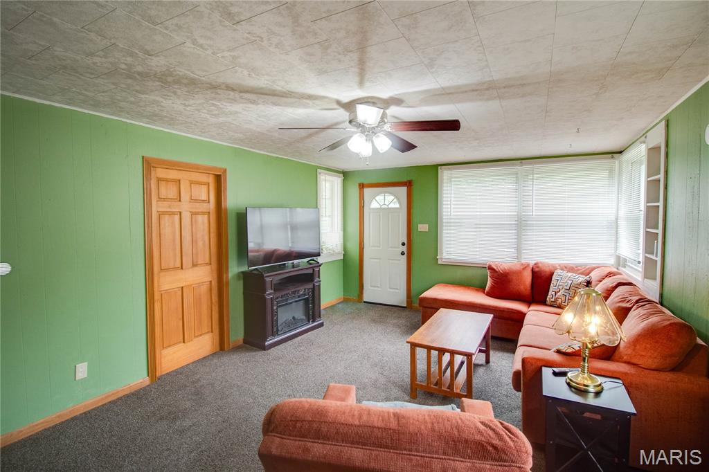 701 East Chestnut Street Gillespie, IL 62033 - Photo 6 of 41