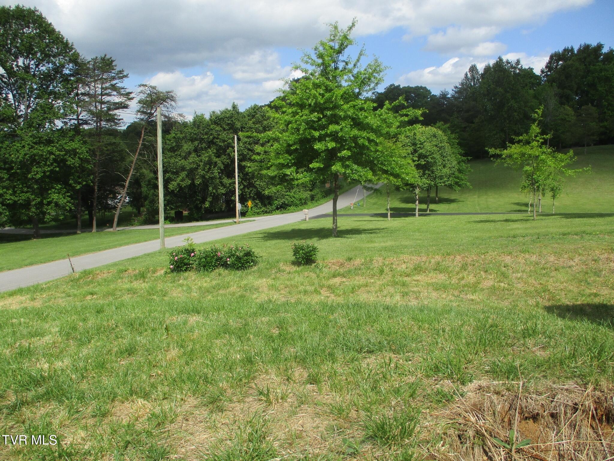270 Forrest Road Fall Branch, TN 37656 - Photo 25 of 25 25 IMG_9319