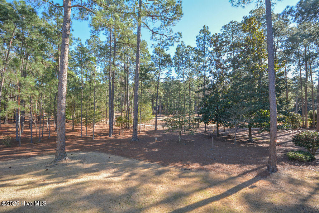 75 Pinewild Drive Pinehurst, NC 28374 - Photo 88 of 106 75PinewildDr-153
