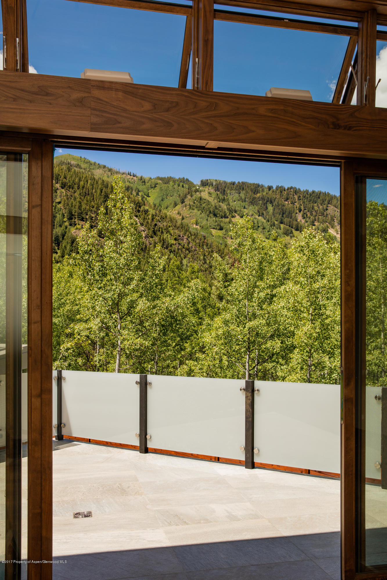 1195 Riverside Drive Aspen, CO 81611 - Photo 15 of 19 a view of a back yard