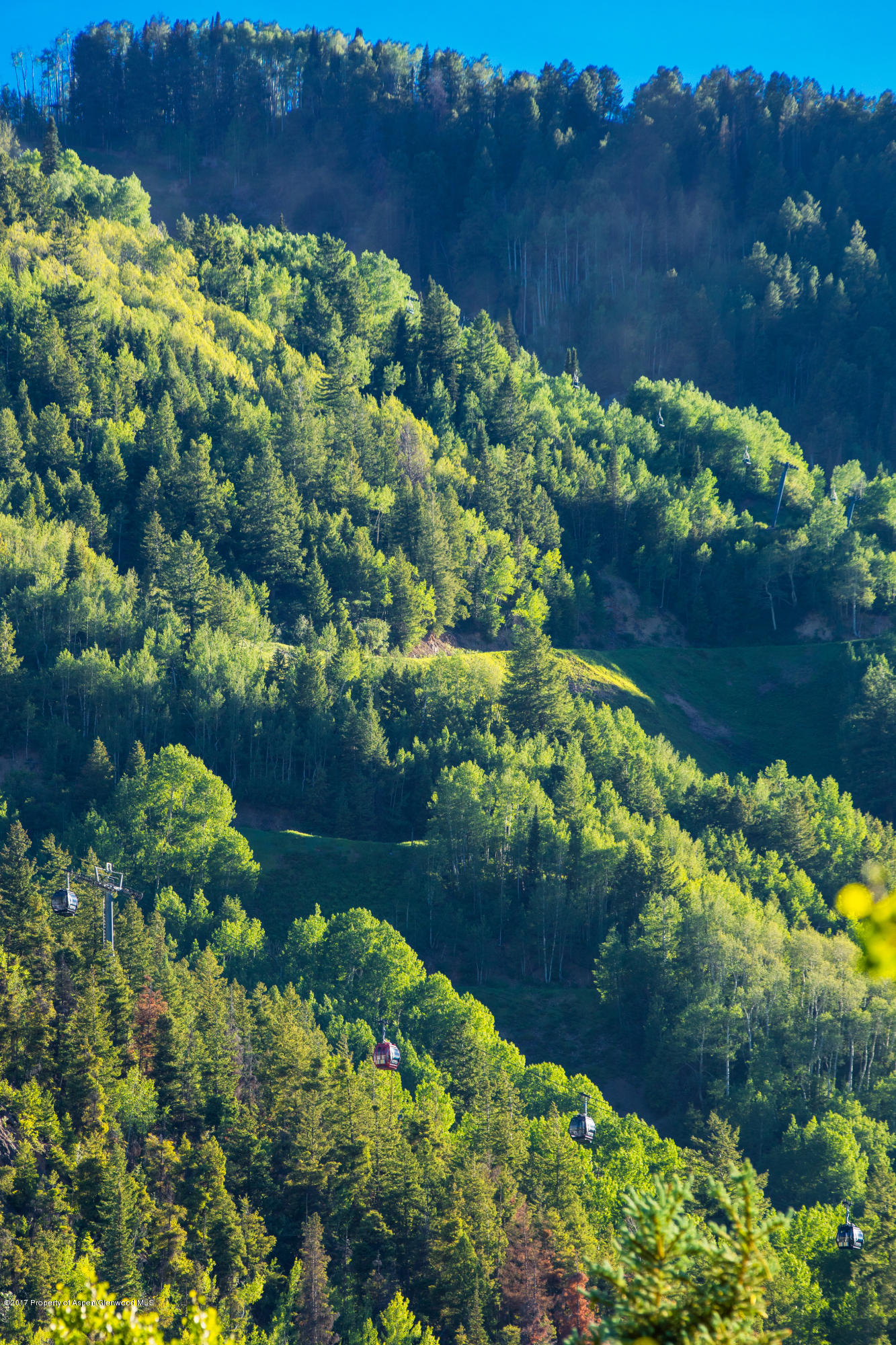 1195 Riverside Drive Aspen, CO 81611 - Photo 19 of 19 a view of a garden with a lake