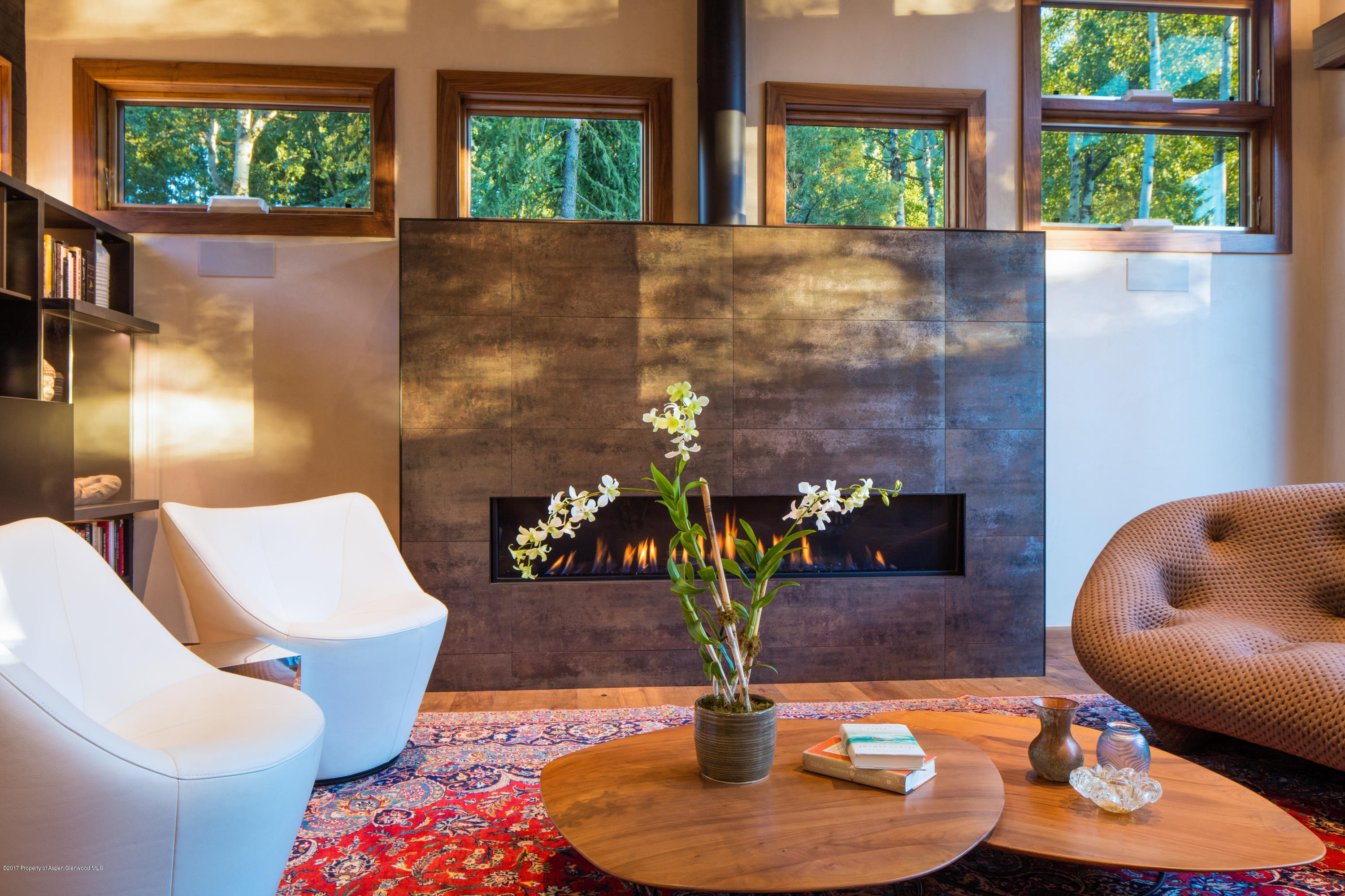1195 Riverside Drive Aspen, CO 81611 - Photo 6 of 19 a living room with furniture and a potted plant