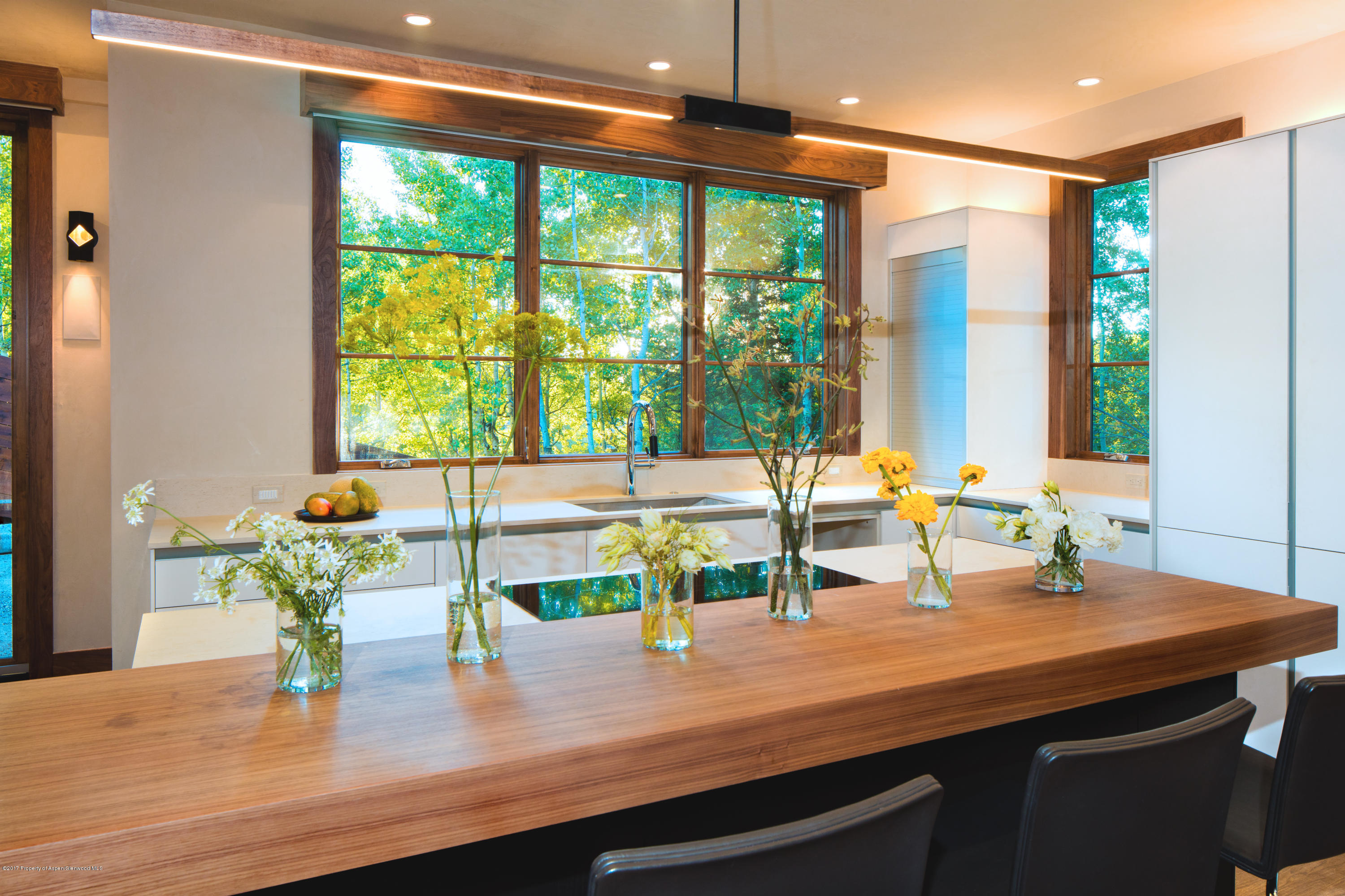1195 Riverside Drive Aspen, CO 81611 - Photo 8 of 19 a kitchen with a sink a counter top space and living room view