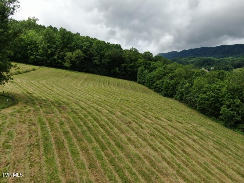 290 Snyder Ridge Road Rose Hill, VA 24281 - Photo 3 of 48 0e2df9a4-dee0-48a1-87c5-72c23fbf7abb