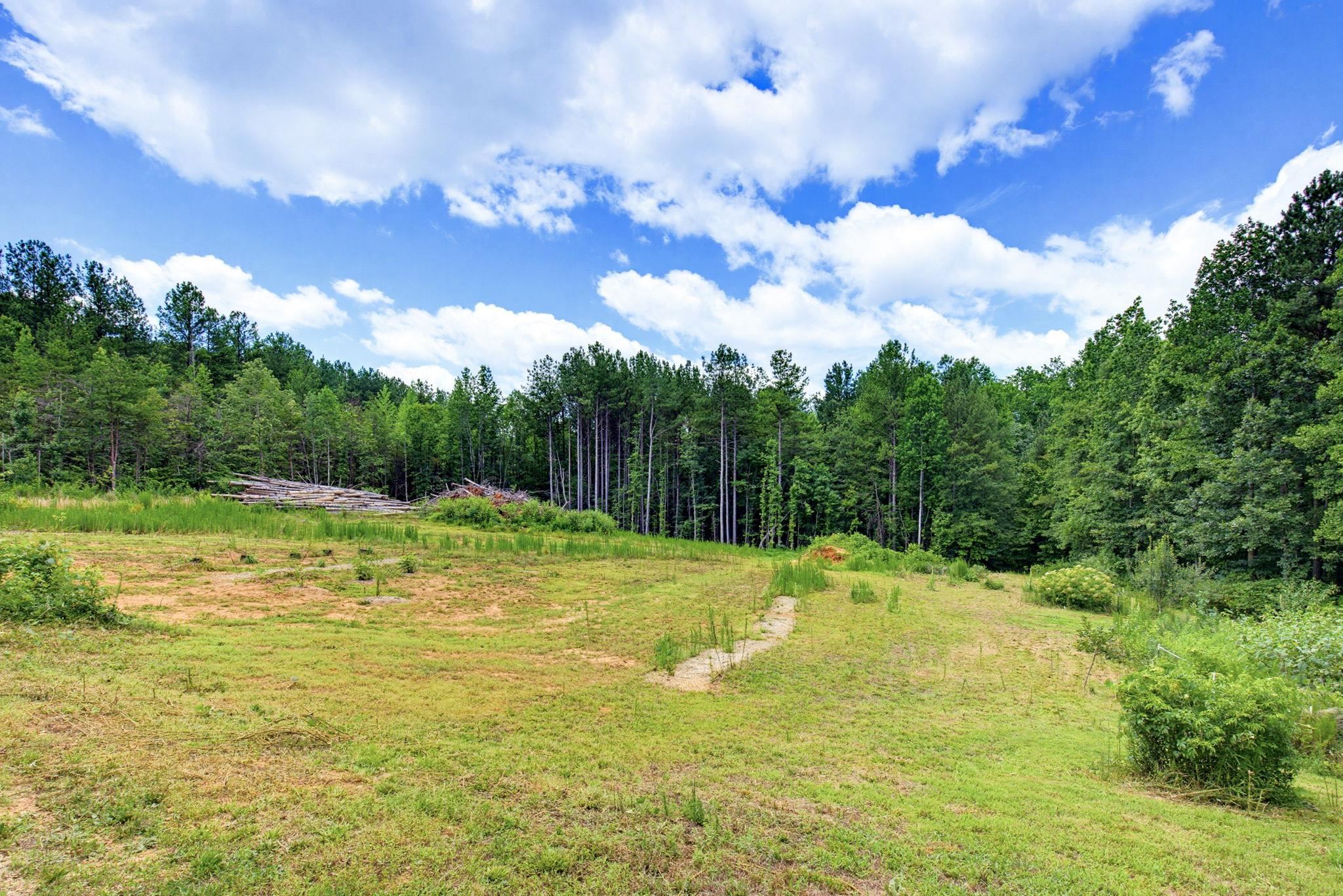 1217 Pleasant Hill Road Landrum, SC 29356 - Photo 38 of 50