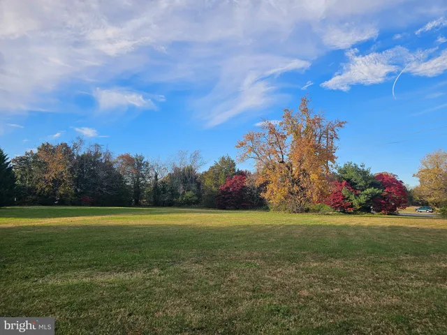 a view of a field with trees in background