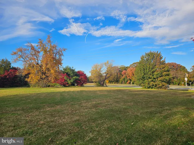 a view of a field with an trees