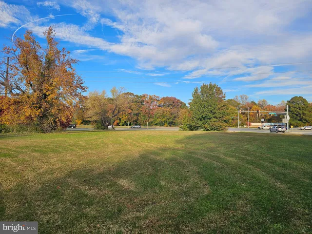 a view of a field with an trees