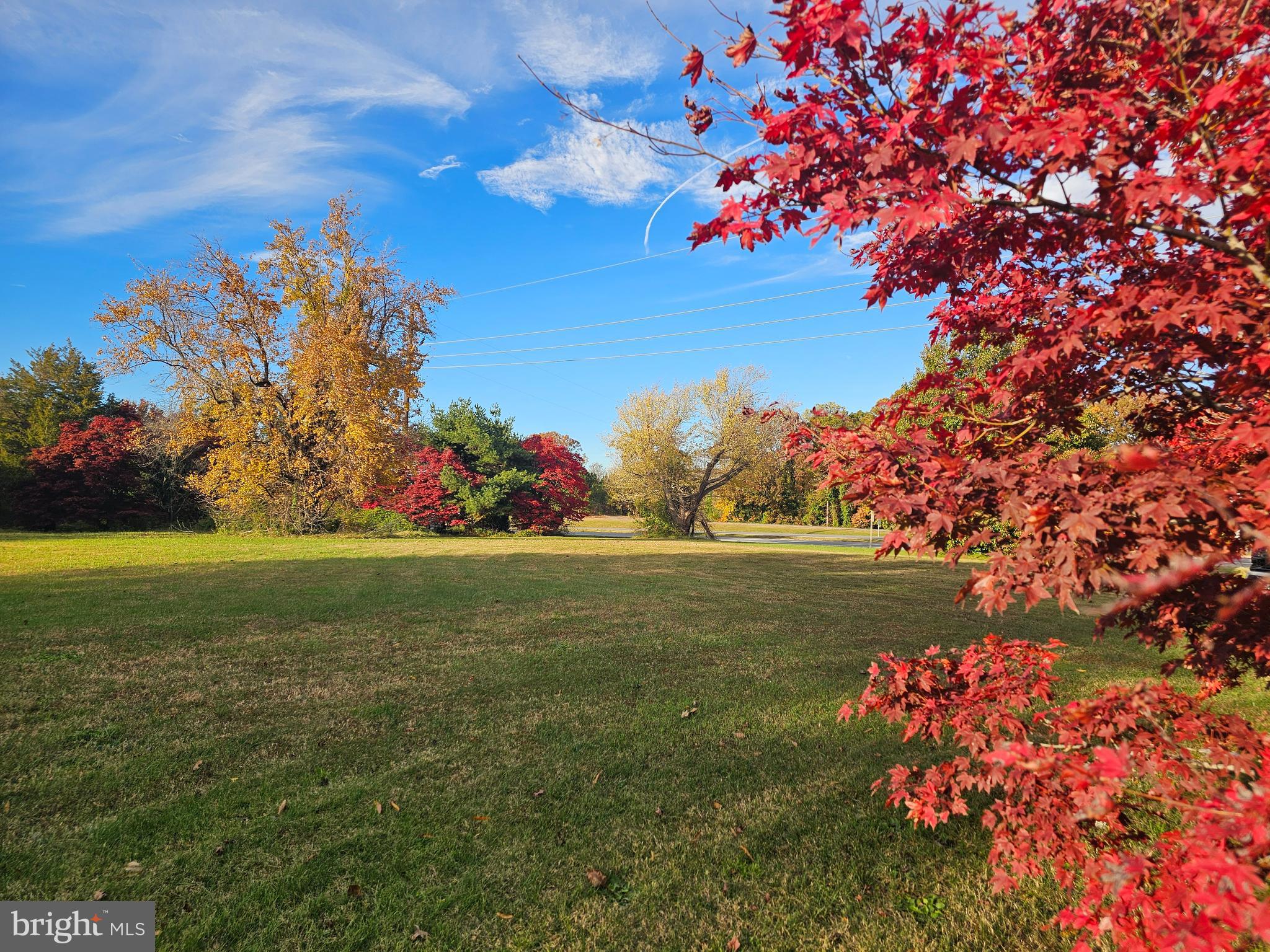 St-johns St Johns Road Hollywood, MD 20636 - Photo 4 of 8 a view of a flowers in a yard