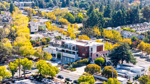 a picture of flowers