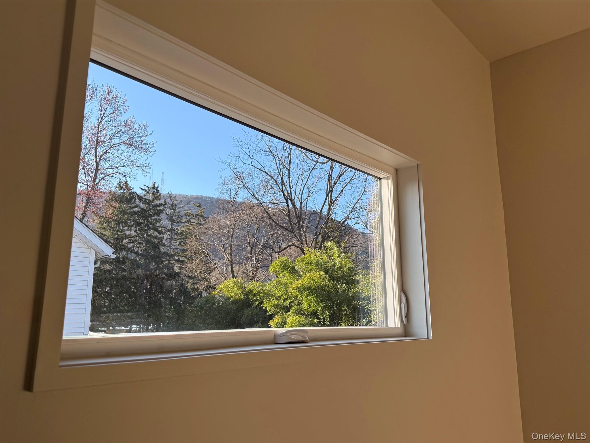 39 Falconer Street Beacon, NY 12508 - Photo 32 of 49 a view of a window