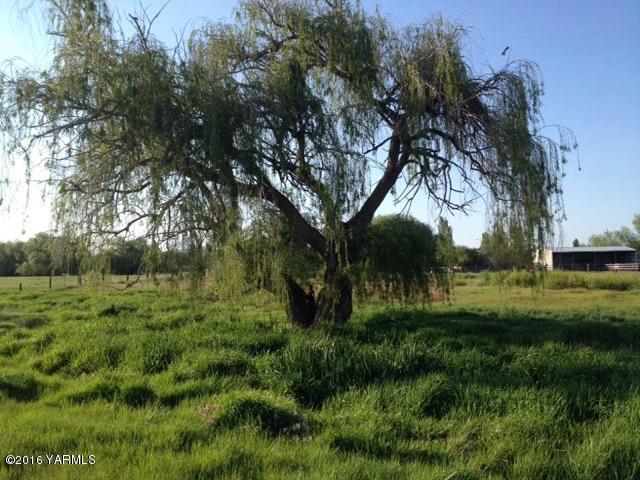 12301 Rutherford Road Yakima, WA 98903 - Photo 32 of 34 a view of a lush green space