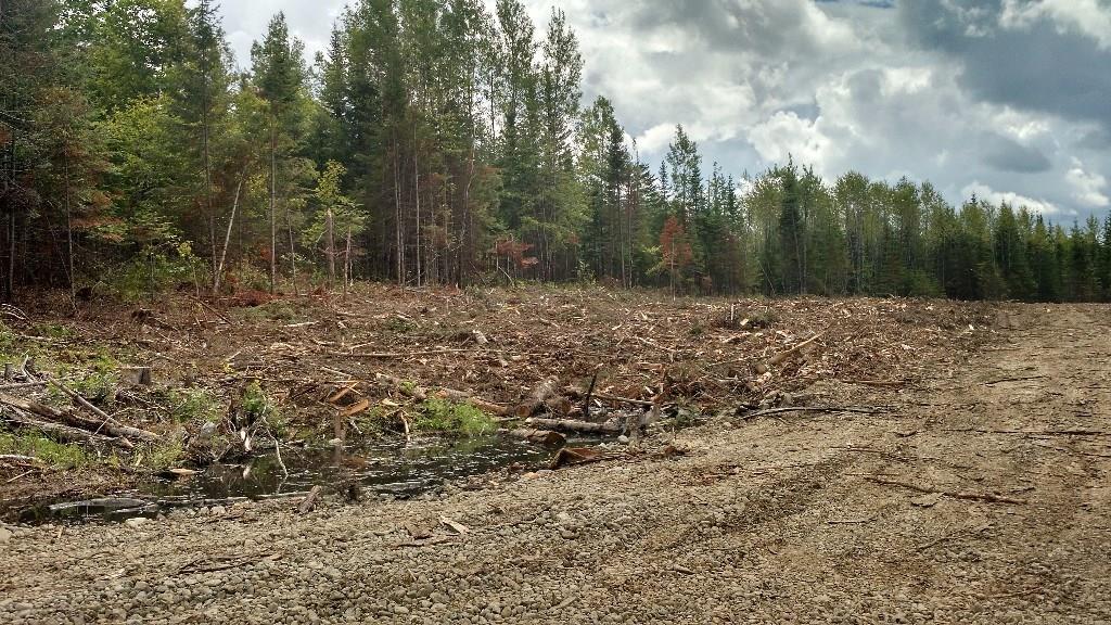 Lot 19-9b York Ridge Road Ashland, ME 04732 - Photo 8 of 13 Photo