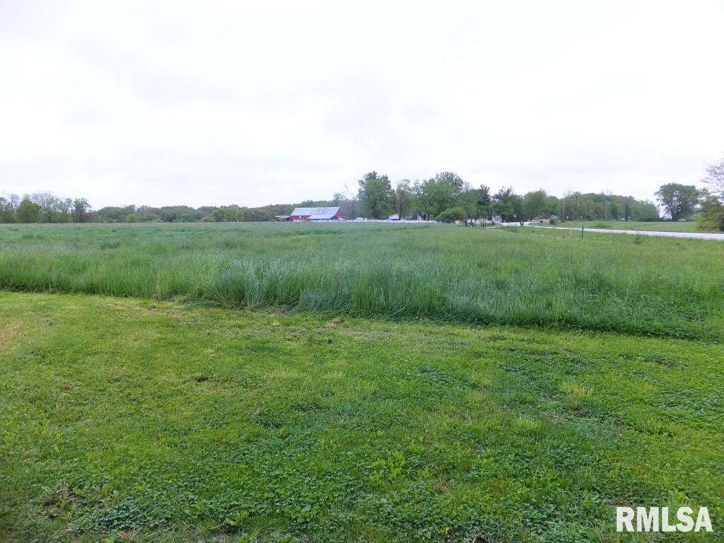 12280 Coon Hunters Road Blue Grass, IA 52726 - Photo 8 of 12 Gallery Image 8