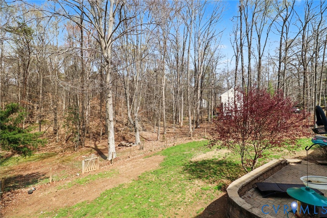 3247 Sherwood Ridge Drive Powhatan, VA 23139 - Photo 24 of 30 a view of yard from a tub