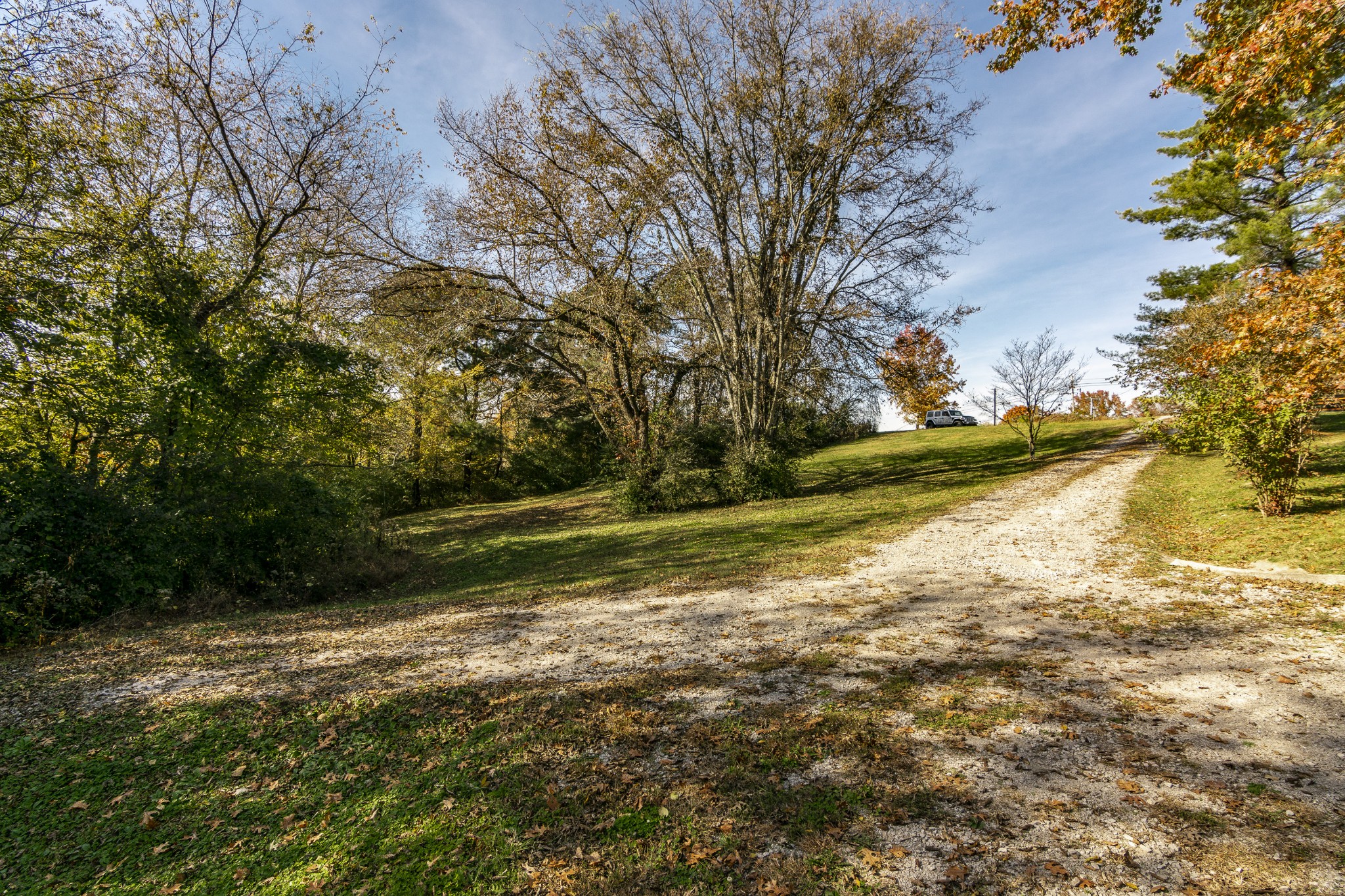 4289 Murfreesboro Road Franklin, TN 37067 - Photo 8 of 50 a view of a yard