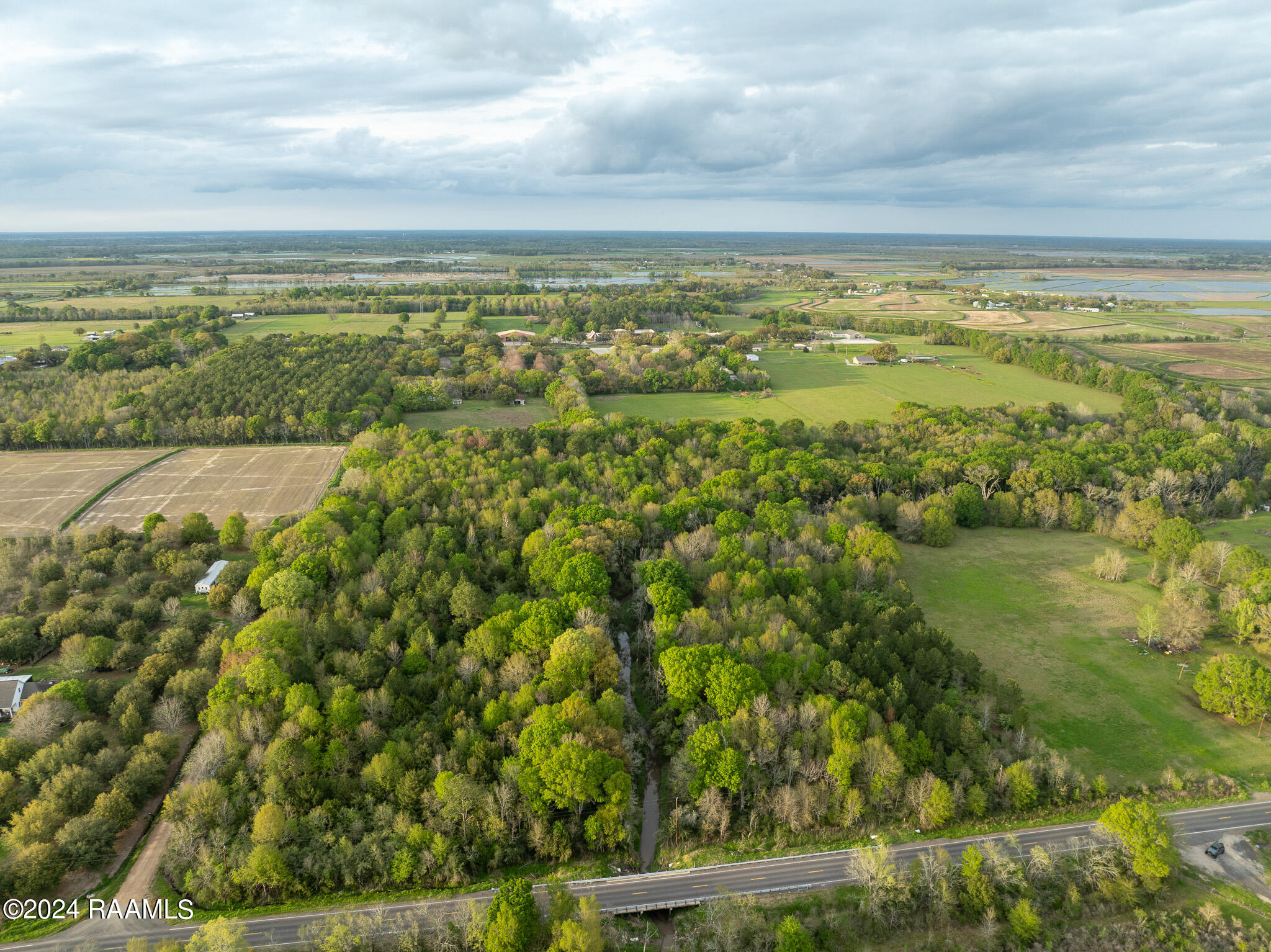 Tbd Richard School Road Branch, LA 70516 - Photo 17 of 19 DJI_0997