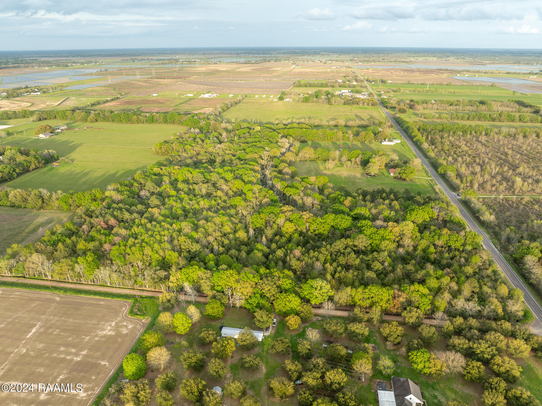 Tbd Richard School Road Branch, LA 70516 - Photo 19 of 19 DJI_0999