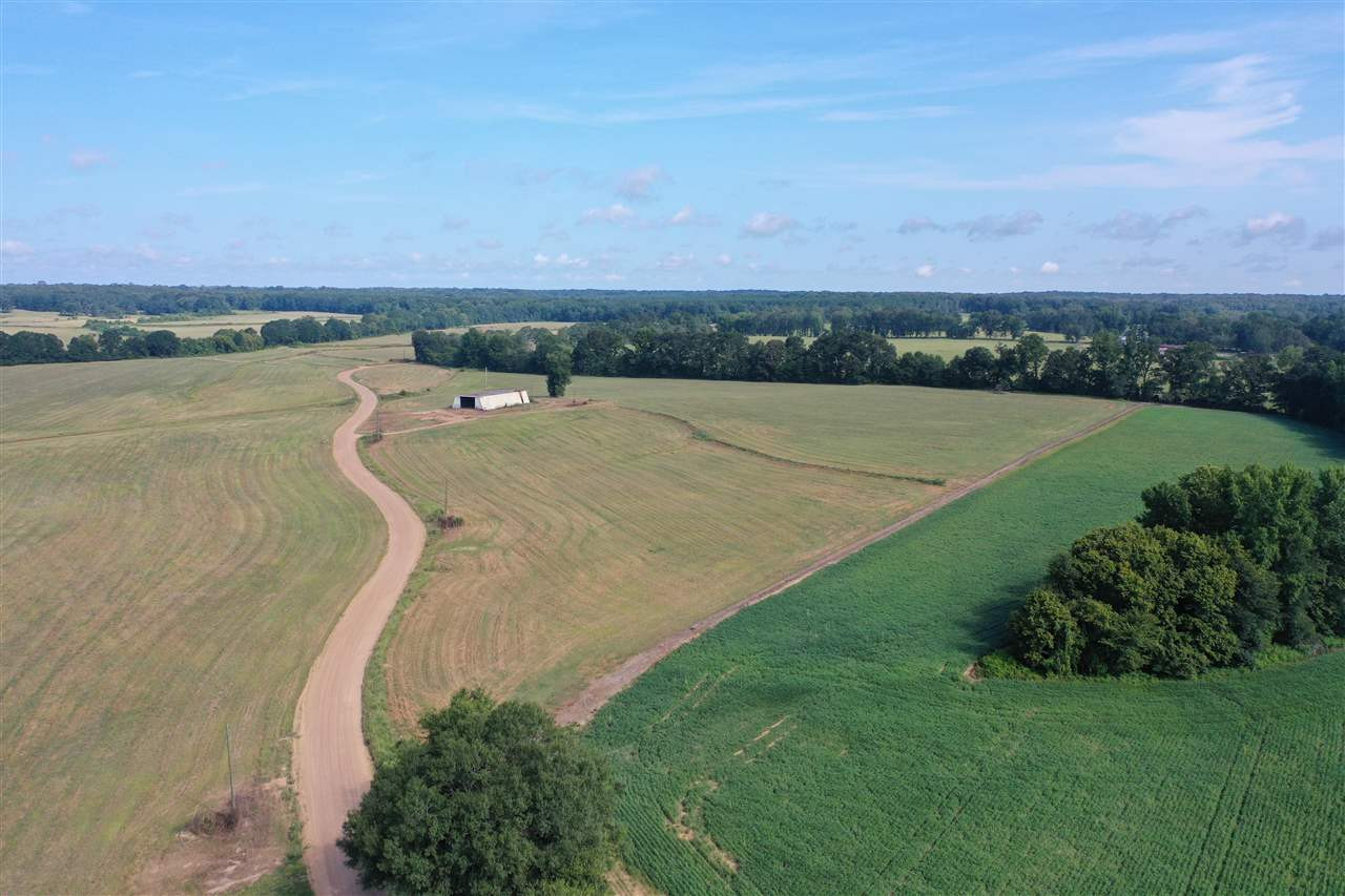 2 Terrell Road Bentonia, MS 39040 - Photo 2 of 4 Photo 2