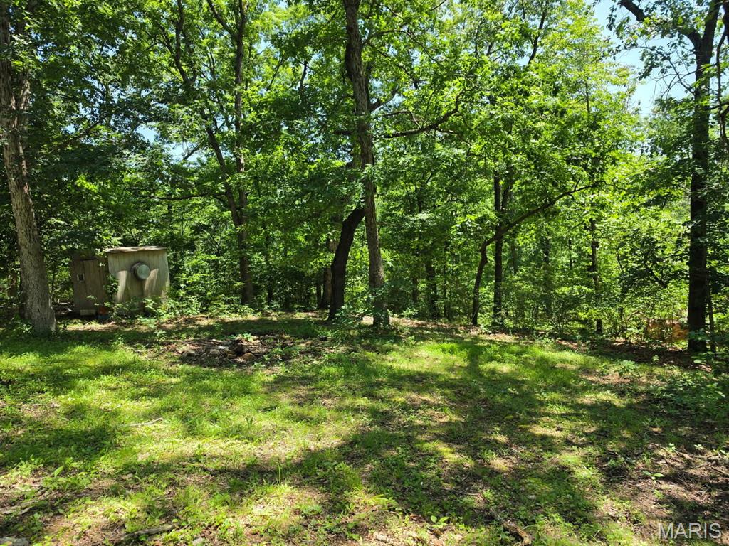2099 Thunder Bluff Road St. Clair, MO 63077 - Photo 52 of 59
