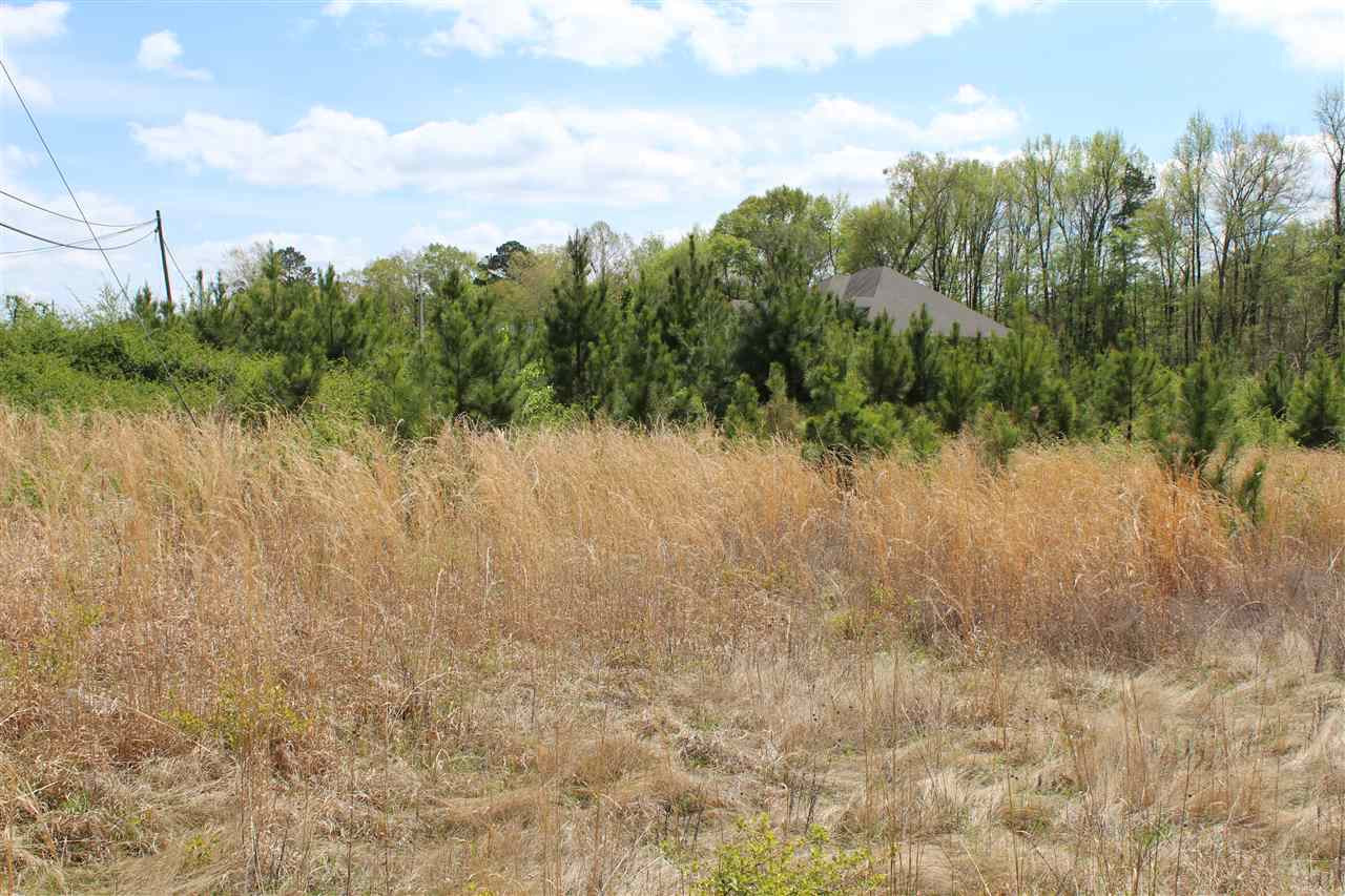 0 Jackson - Raymond Road Raymond, MS 39154 - Photo 4 of 11 Photo 4