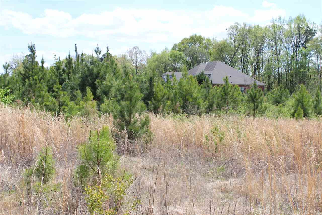0 Jackson - Raymond Road Raymond, MS 39154 - Photo 7 of 11 Photo 7