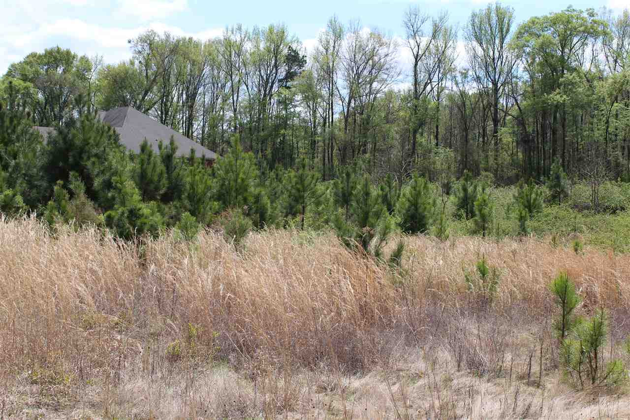 0 Jackson - Raymond Road Raymond, MS 39154 - Photo 8 of 11 Photo 8