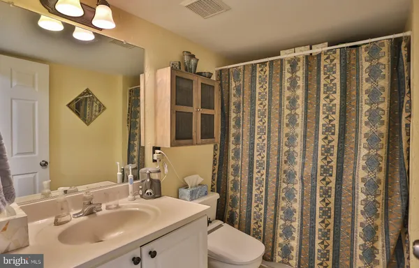 a bathroom with a sink a toilet a mirror a vanity and shower