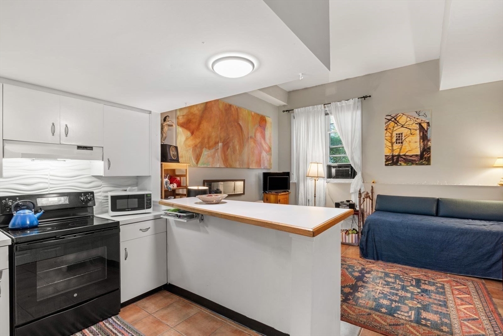 2 B Brewer Street Boston, MA 02130 - Photo 28 of 35