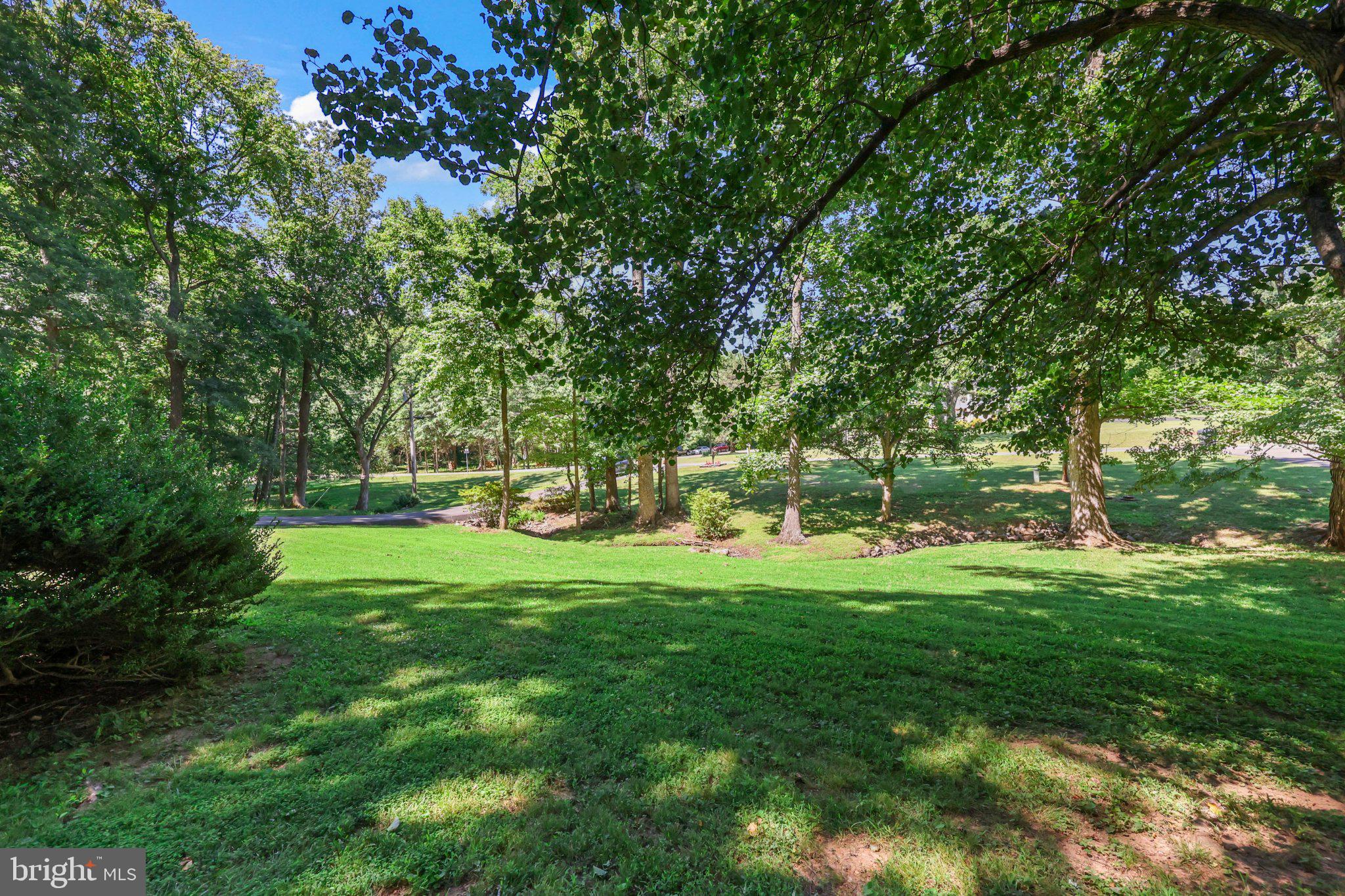 7357 Auburn Mill Road Warrenton, VA 20187 - Photo 28 of 35 Lush green retreat in serene woods.