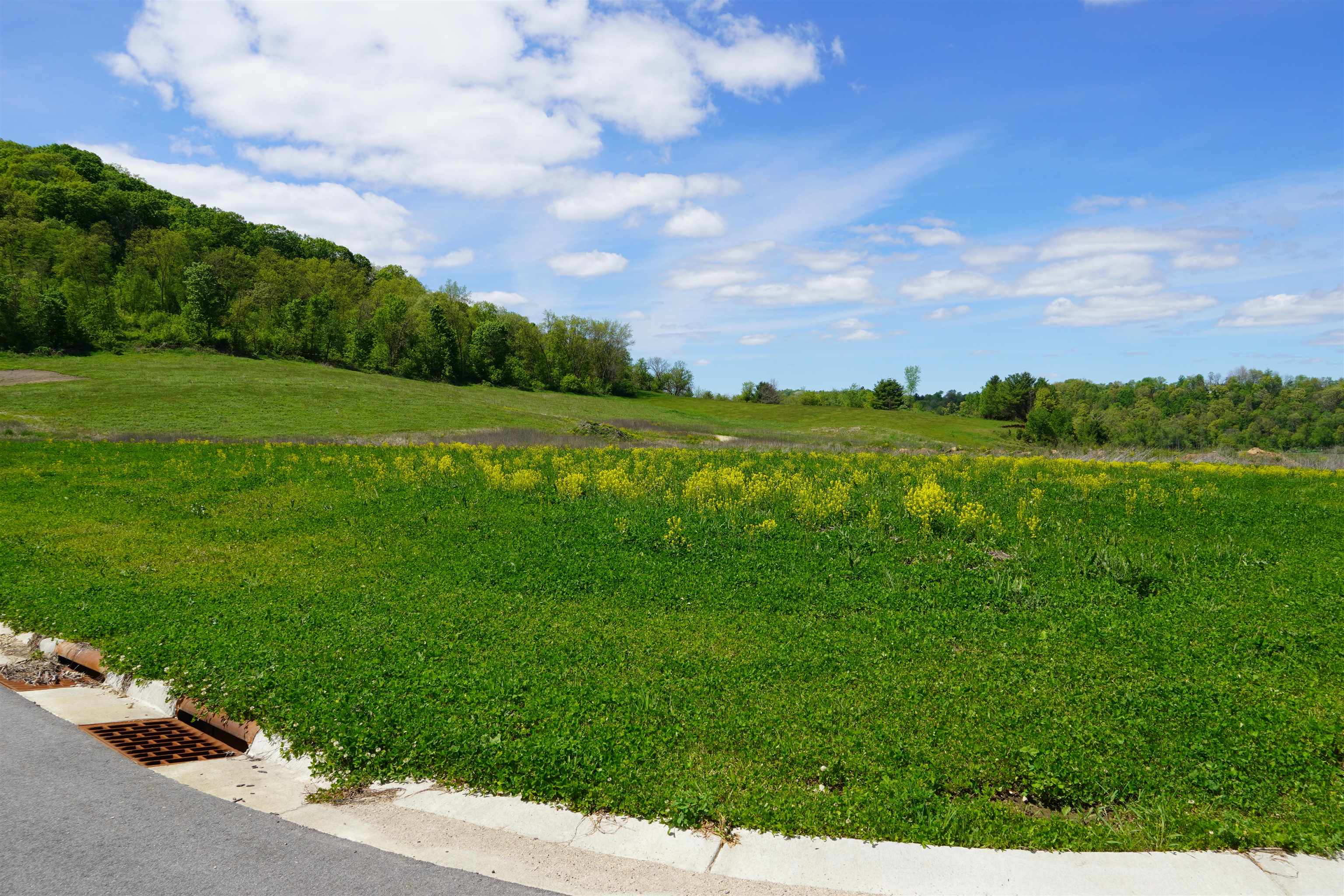 Lot 3 Pearson Ontario, WI 54651 - Photo 3 of 11