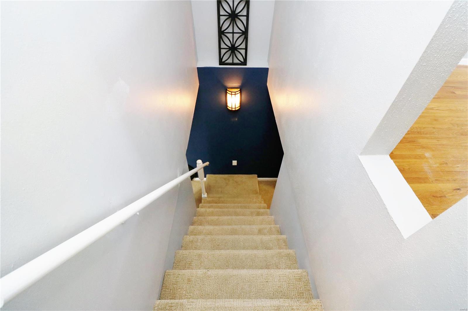 316 Ballwin Avenue Ballwin, MO 63021 - Photo 31 of 53