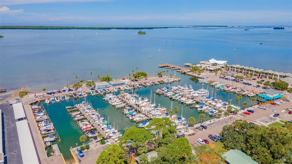 618 Broadway, Unit B Dunedin, FL 34698 - Photo 36 of 38