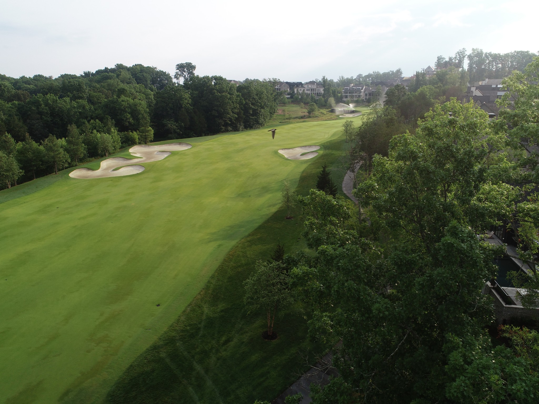 7559 Whiskey Road College Grove, TN 37046 - Photo 9 of 25 a view of an outdoor space and a yard