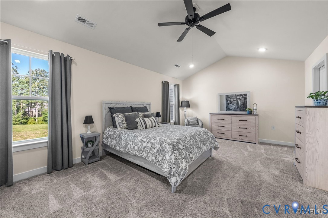 12576 Petrel Crossing Midlothian, VA 23112 - Photo 14 of 30 Bedroom with lofted ceiling, light colored carpet,