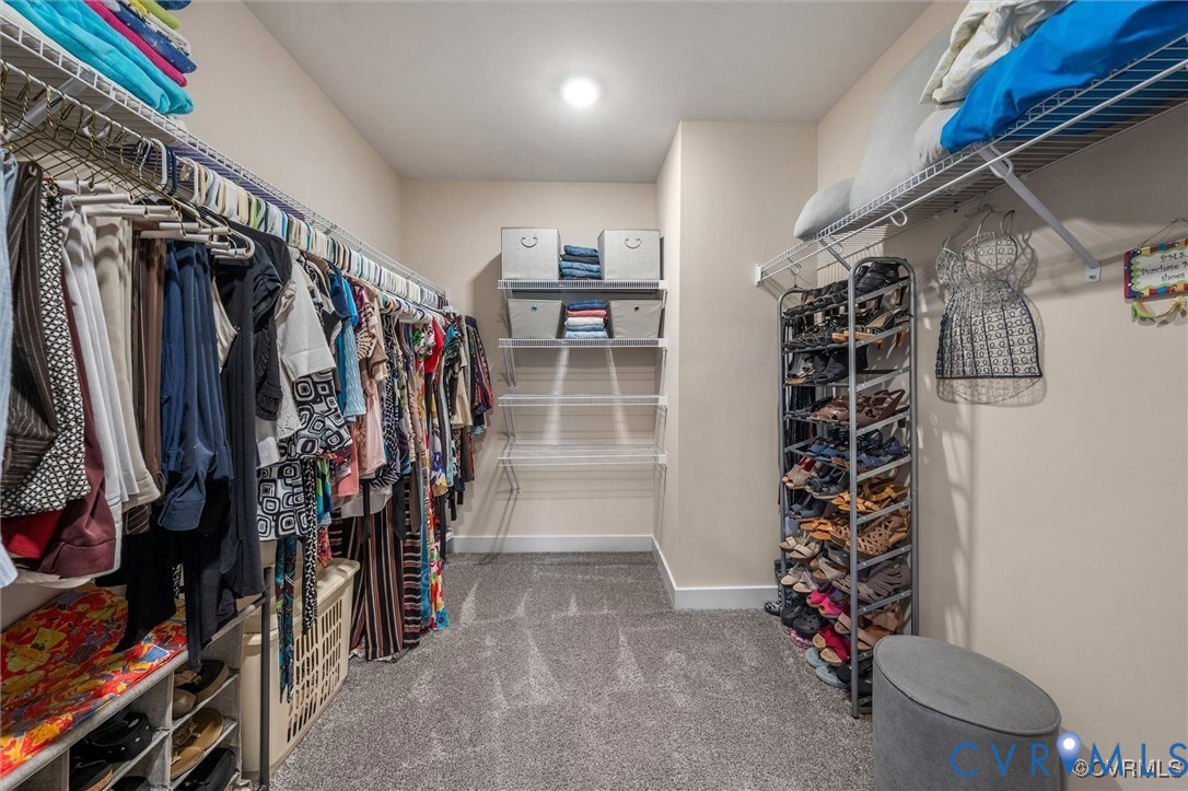 12576 Petrel Crossing Midlothian, VA 23112 - Photo 17 of 30 Walk in closet with light colored carpet
