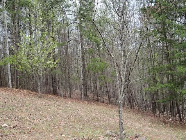 a backyard of a house