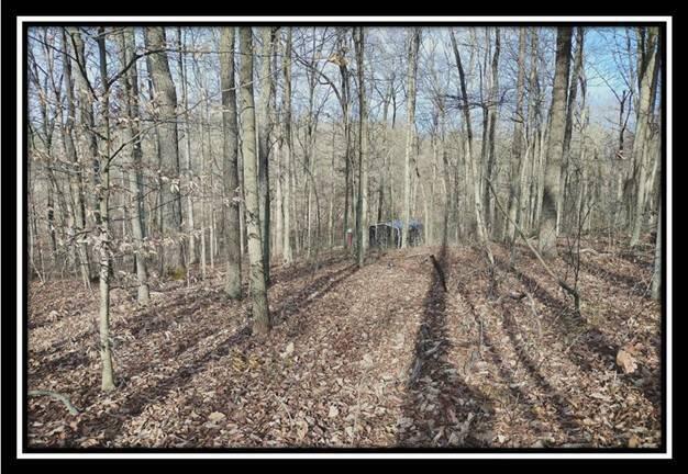 0 Raysville Road, Unit TRACT 2) Jackson, OH 45640 - Photo 6 of 36 image006