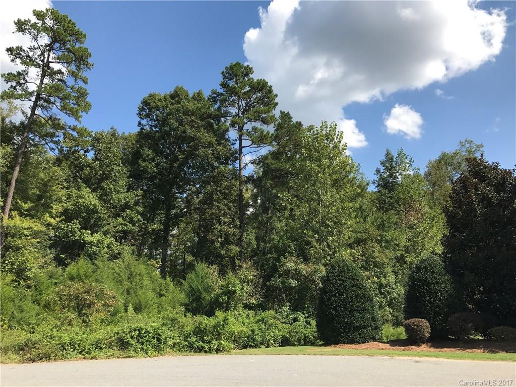 15340 June Washam Road Davidson, NC 28036 - Photo 2 of 6 Gallery Image 2