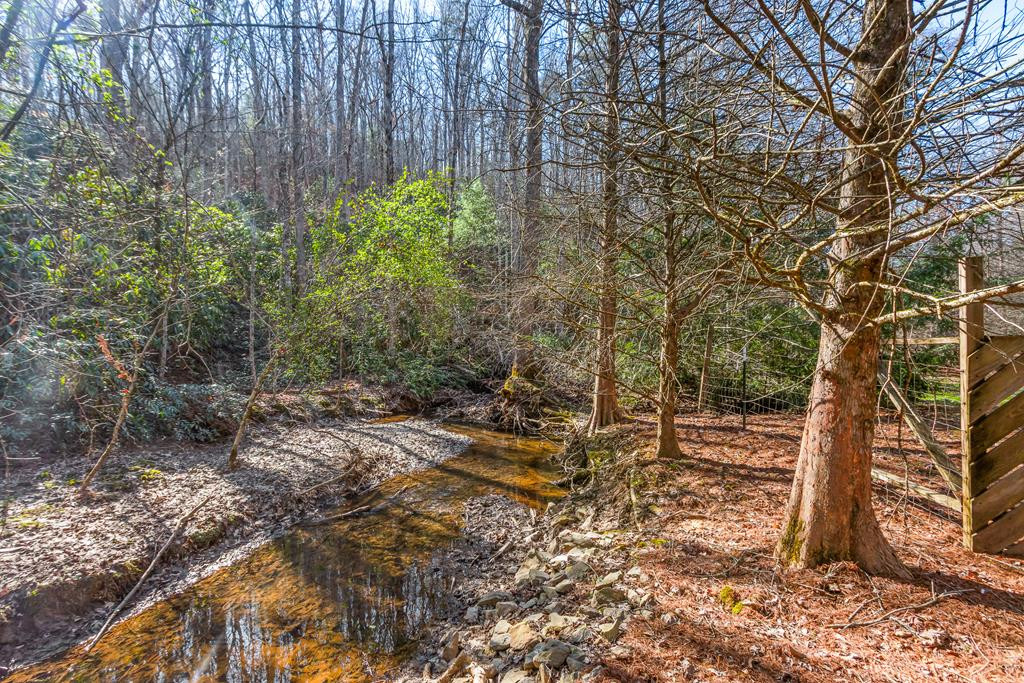 1697 Caney Creek Road Murphy, NC 28906 - Photo 60 of 75