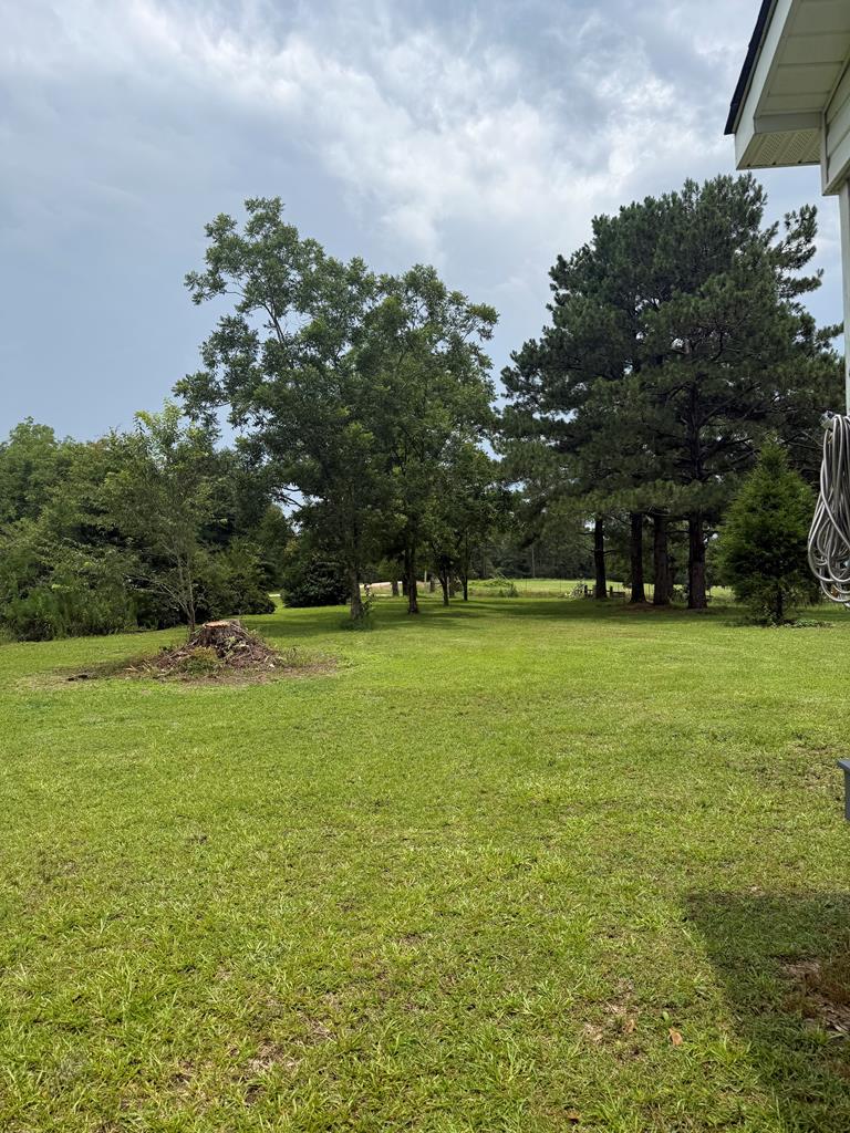 24132 Babbie Road Andalusia, AL 36421 - Photo 8 of 28