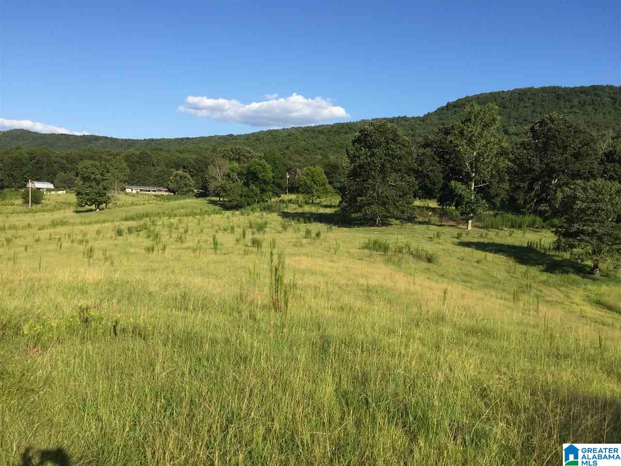 0 Valley Creek Road Piedmont, AL 36272 - Photo 26 of 28