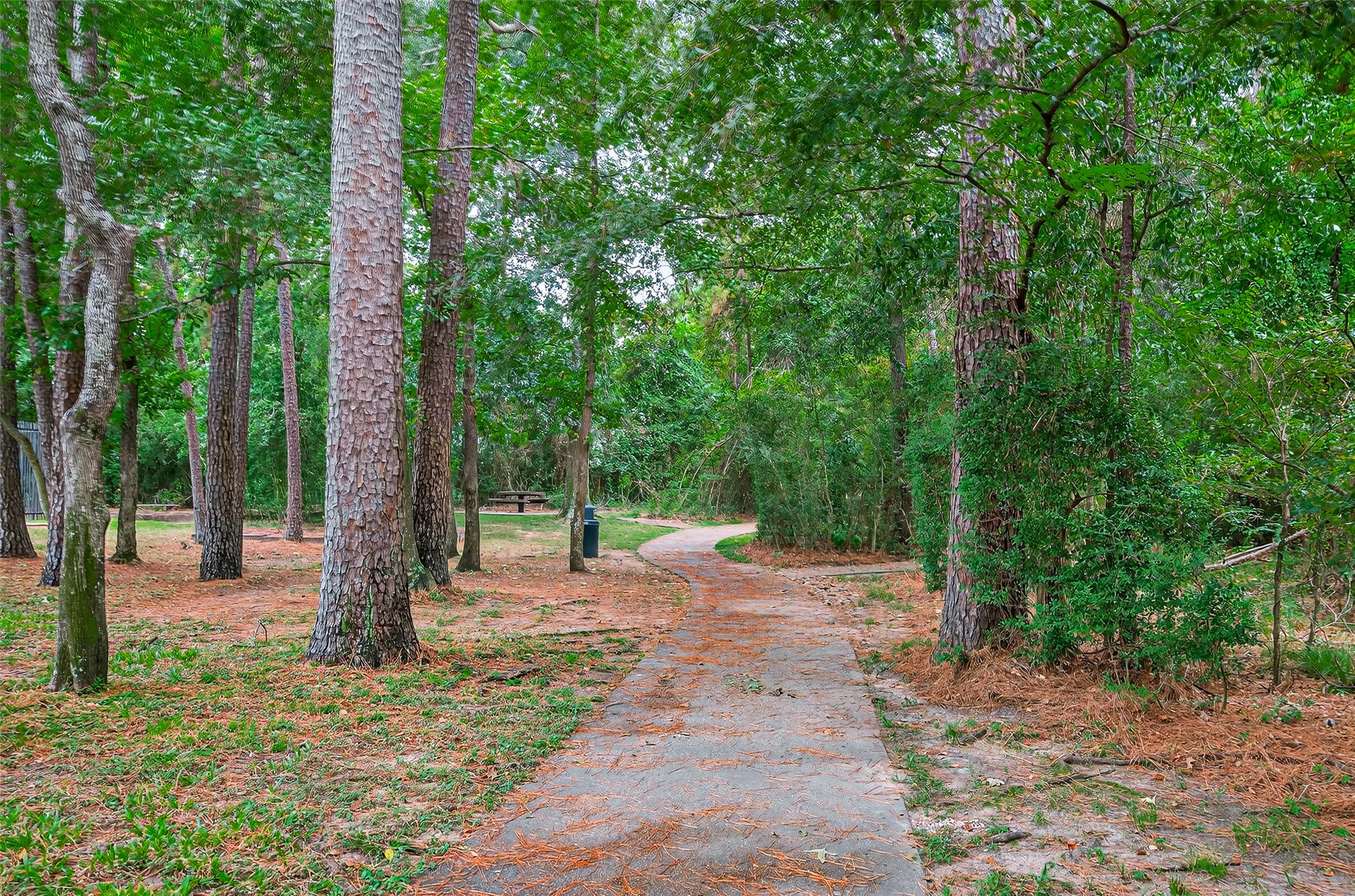 1519 Lofty Maple Trail Houston, TX 77345 - Photo 48 of 49 Lots of trails to explore! Come see all this home and community has to offer!
