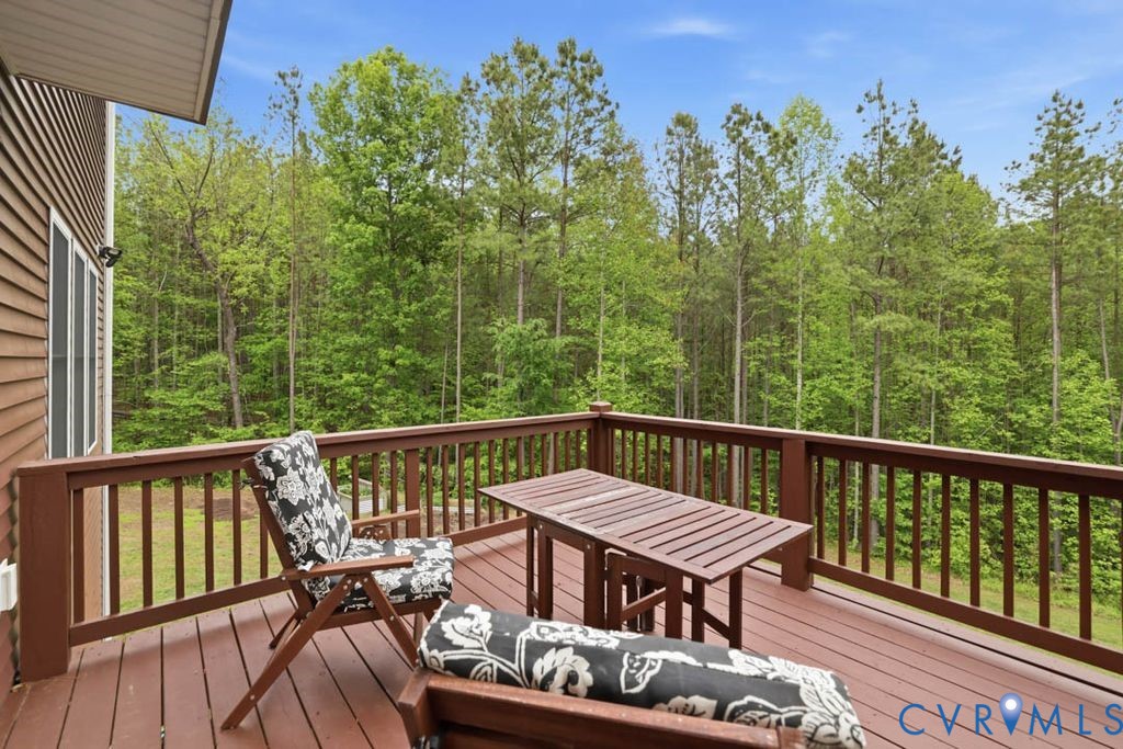 6185 Walnut Tree Drive Powhatan, VA 23139 - Photo 37 of 48