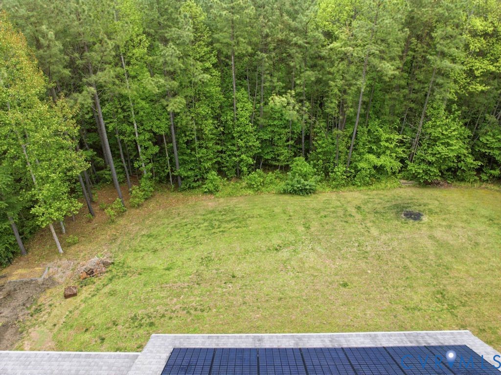 6185 Walnut Tree Drive Powhatan, VA 23139 - Photo 43 of 48