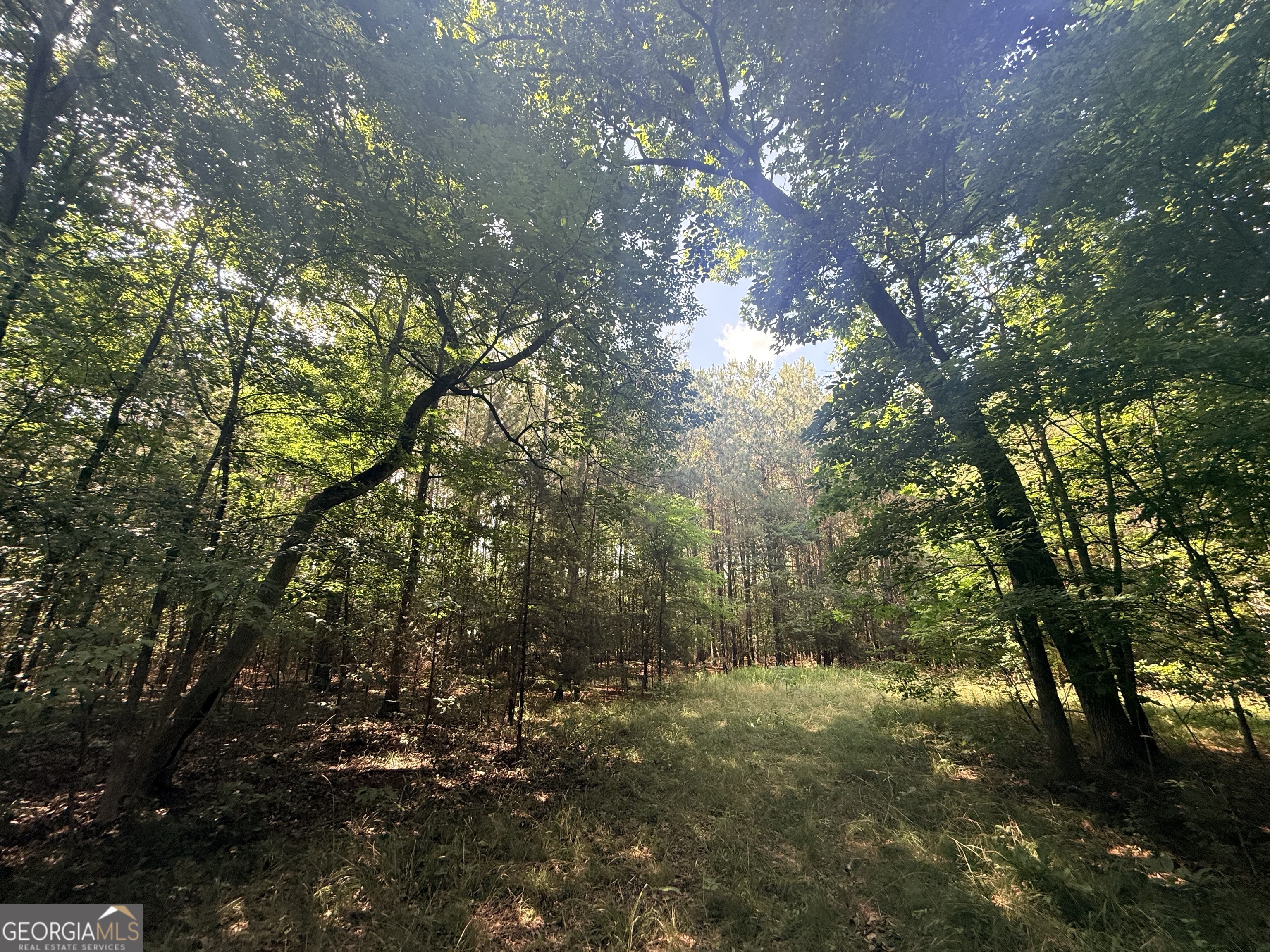 2 Bethesda Church Road Lexington, GA 30648 - Photo 61 of 66