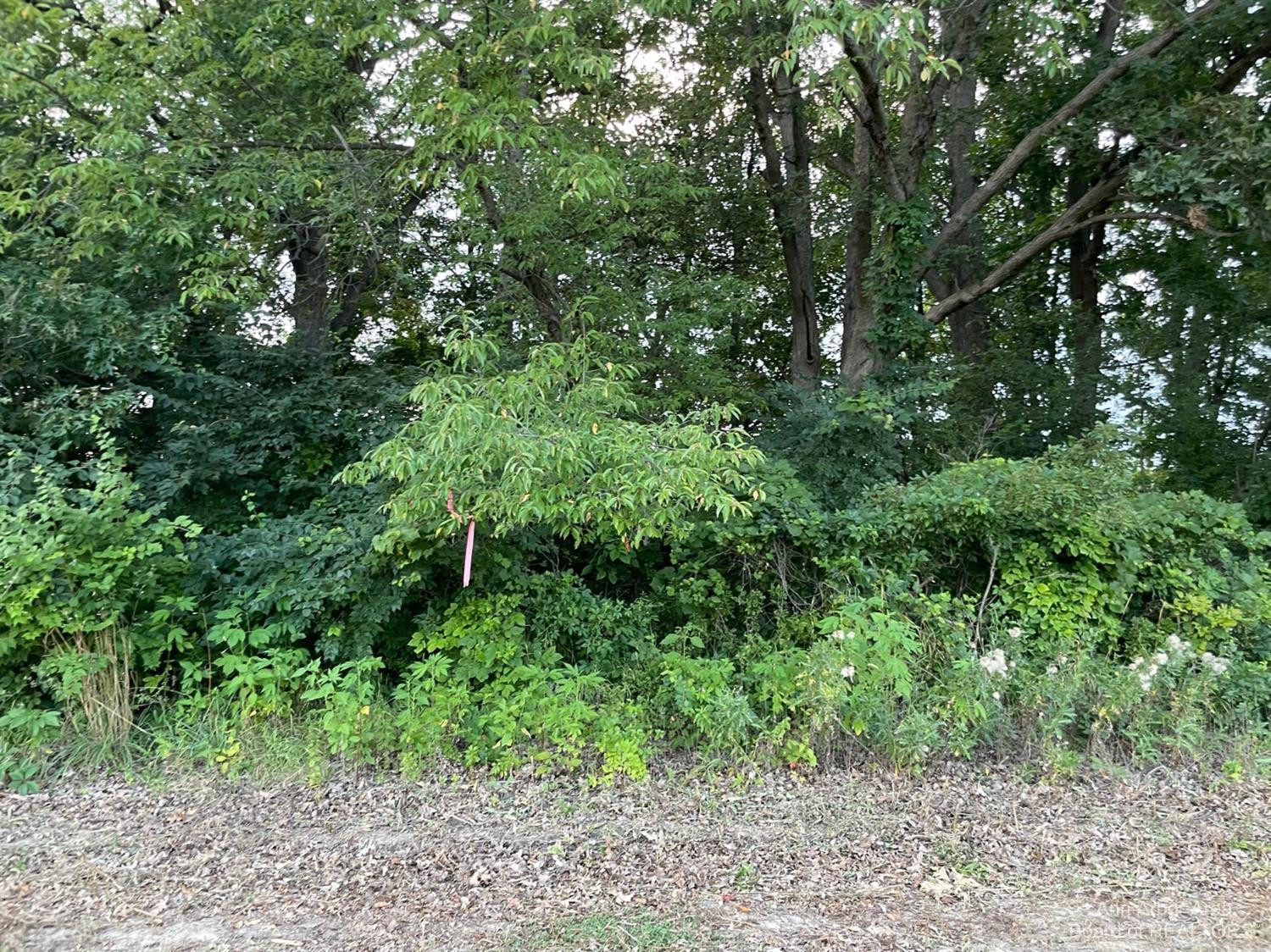 2216 North Dancer Road Dexter, MI 48130 - Photo 11 of 17 Photo 11