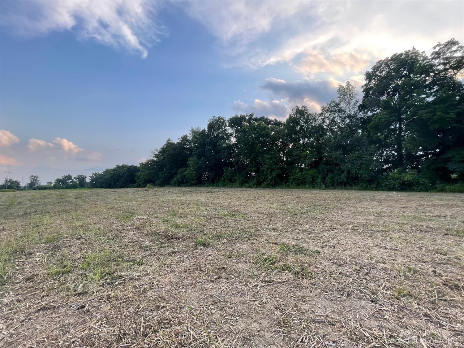 2216 North Dancer Road Dexter, MI 48130 - Photo 12 of 17 Photo 12