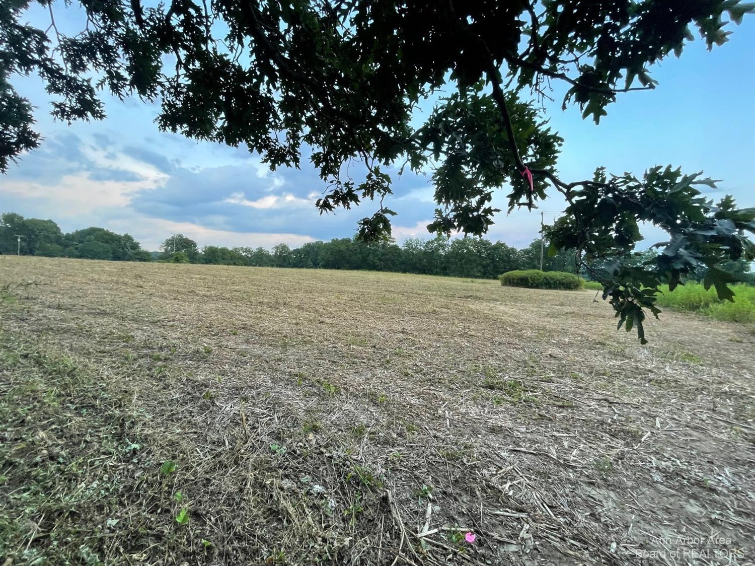 2216 North Dancer Road Dexter, MI 48130 - Photo 13 of 17 Photo 13